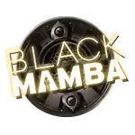 Black Mamba game cover